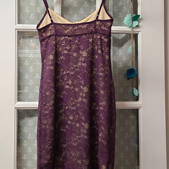 💜Wilfred Purple Lace Bodice Dress - Picture 3 of 4